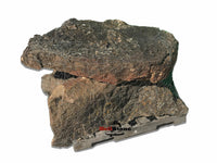 Moss Boulders 500-1000 lbs - BellStone