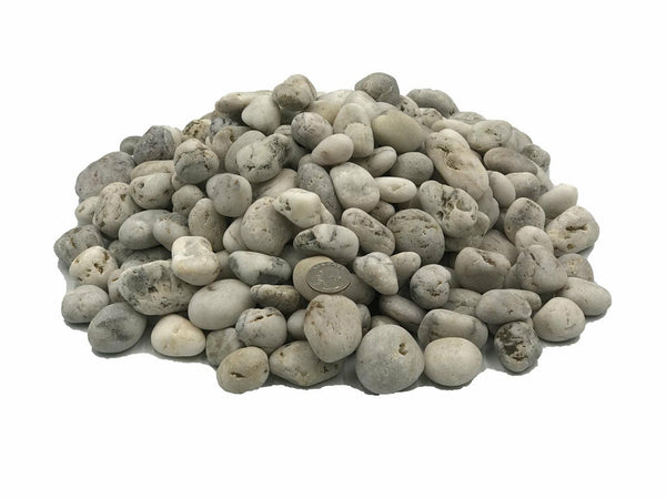 White Mexican Beach Pebbles 3/4”-1” - BellStone