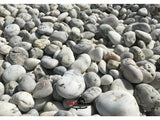 White Mexican Beach Pebbles 1"- 2” - BellStone